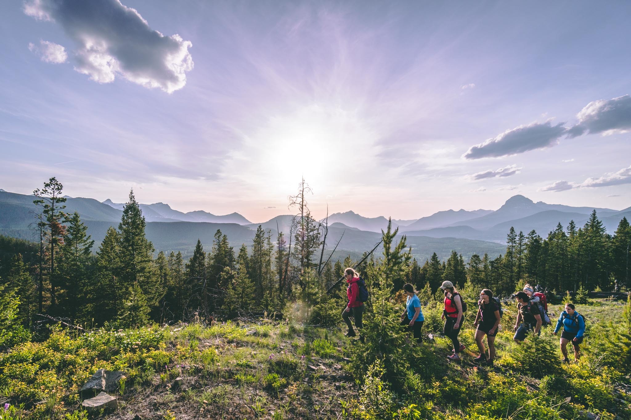 Group hiking through mountain wildflowers in Crowsnest Pass
